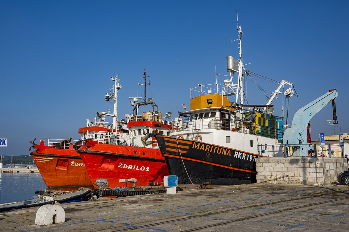 Натиснете снимката за да я уголемите  Име:DSC_6664.jpg Прегледи:0 Размер:194.6 КБ ID:6540111