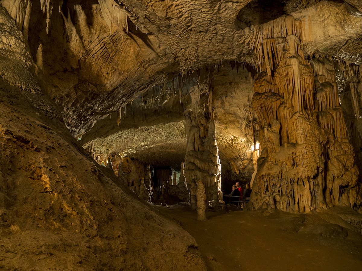 Натиснете снимката за да я уголемите

Име:PA260172.jpg
Прегледи:485
Размер:277.3 КБ
ID:6540164