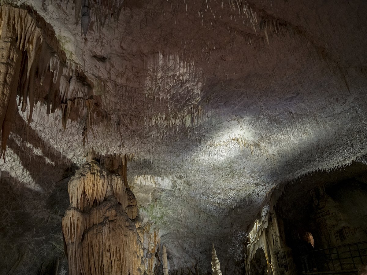 Натиснете снимката за да я уголемите

Име:PA260194.jpg
Прегледи:511
Размер:259.0 КБ
ID:6540166