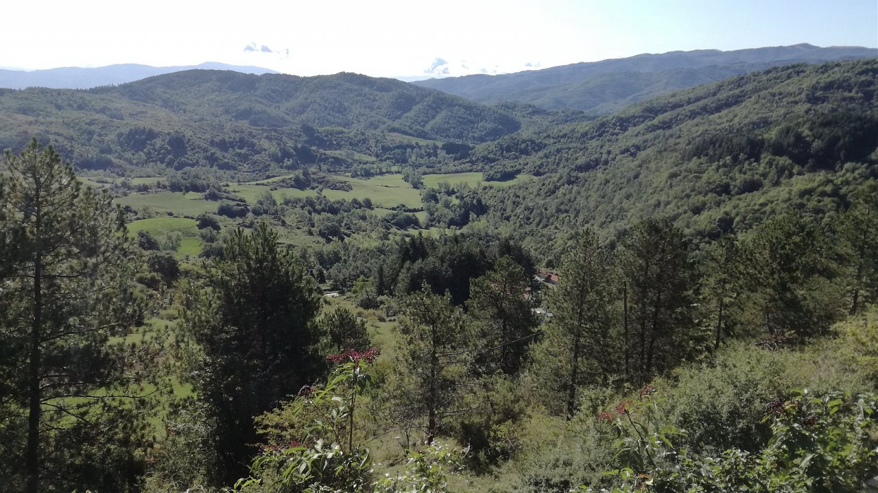 Натиснете снимката за да я уголемите

Име:IMG_20190909_095159.jpg
Прегледи:698
Размер:523.9 КБ
ID:6540498