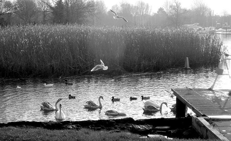 Натиснете снимката за да я уголемите

Име:1 (5) - Copy.JPG
Прегледи:380
Размер:146.8 КБ
ID:6542325