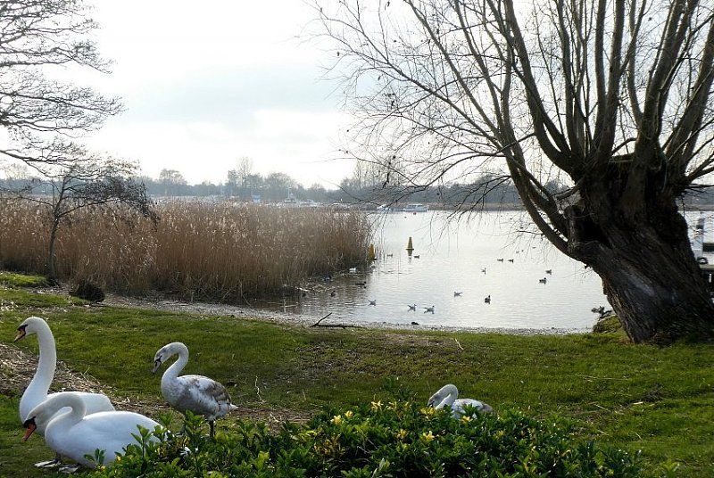 Натиснете снимката за да я уголемите

Име:1 (8).JPG
Прегледи:375
Размер:167.2 КБ
ID:6542327