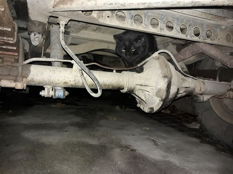 Натиснете снимката за да я уголемите

Име:КОТ.jpg
Прегледи:440
Размер:199.6 КБ
ID:6549260