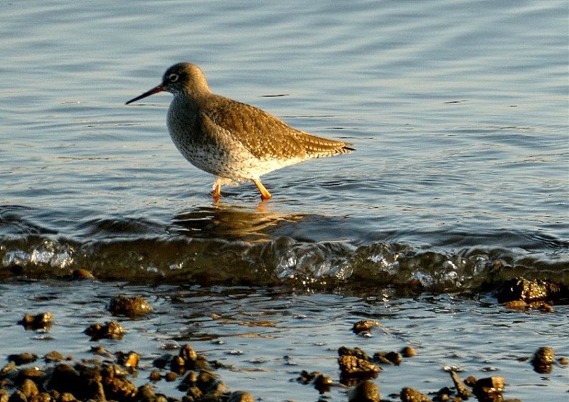 Натиснете снимката за да я уголемите  Име:22 (8).JPG Прегледи:0 Размер:146.7 КБ ID:6551036