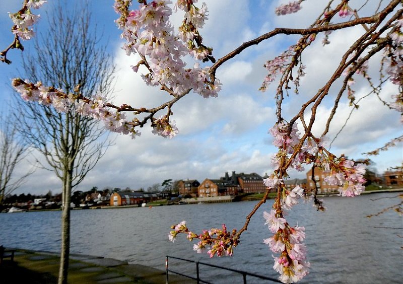 Натиснете снимката за да я уголемите  Име:1 (1) - Copy.JPG Прегледи:0 Размер:135.2 КБ ID:6551037