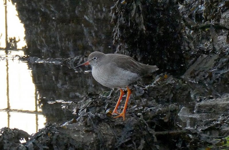 Натиснете снимката за да я уголемите  Име:22 (12).JPG Прегледи:0 Размер:140.6 КБ ID:6551044
