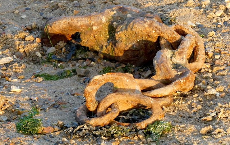 Натиснете снимката за да я уголемите  Име:22 (11).JPG Прегледи:0 Размер:179.9 КБ ID:6551045