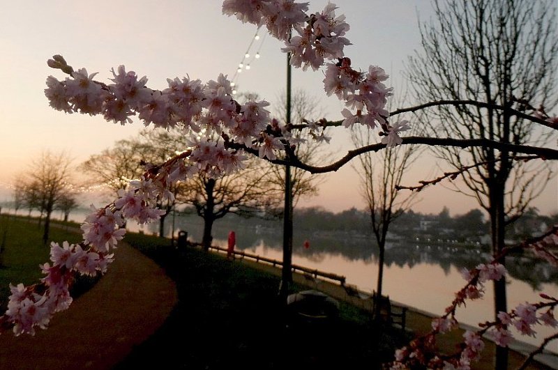 Натиснете снимката за да я уголемите  Име:22 (38).JPG Прегледи:0 Размер:106.3 КБ ID:6551061