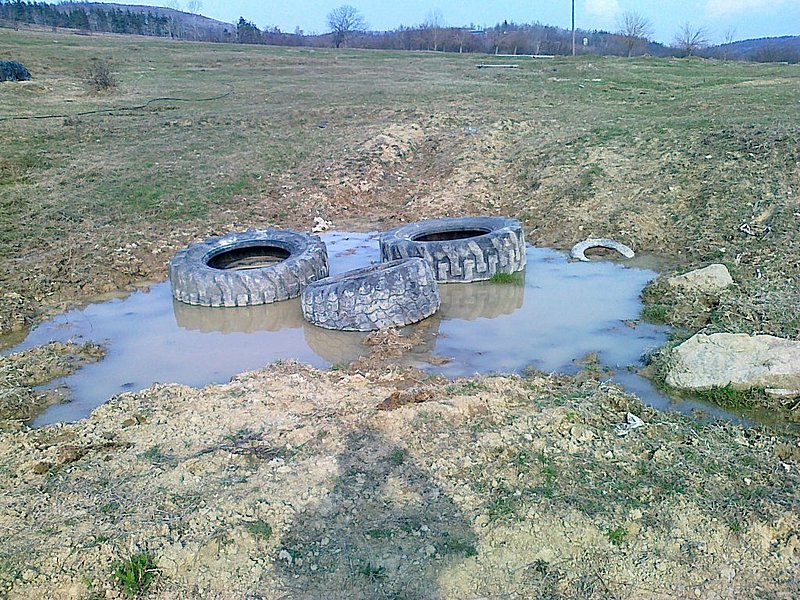 Натиснете снимката за да я уголемите

Име:24032012027.jpg
Прегледи:2
Размер:270.2 КБ
ID:6517451