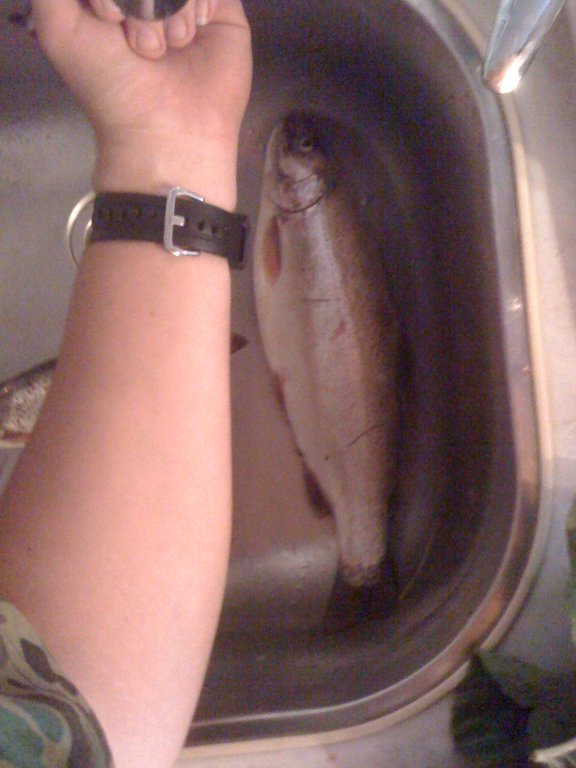 Натиснете снимката за да я уголемите

Име:IMG_1686.jpg
Прегледи:1
Размер:67.5 КБ
ID:5418817