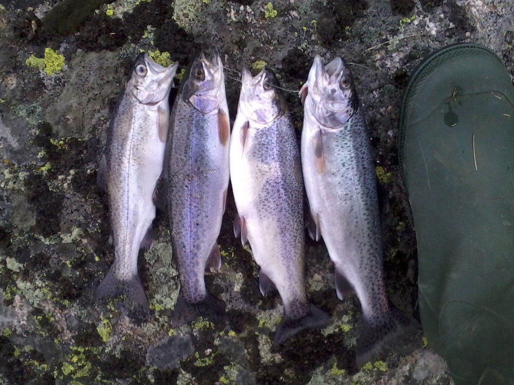 Натиснете снимката за да я уголемите

Име:Снимки0070.jpg
Прегледи:1
Размер:185.3 КБ
ID:5418822