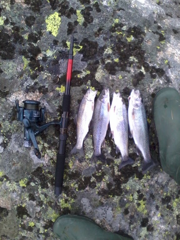 Натиснете снимката за да я уголемите

Име:Снимки0072.jpg
Прегледи:1
Размер:122.9 КБ
ID:5418823