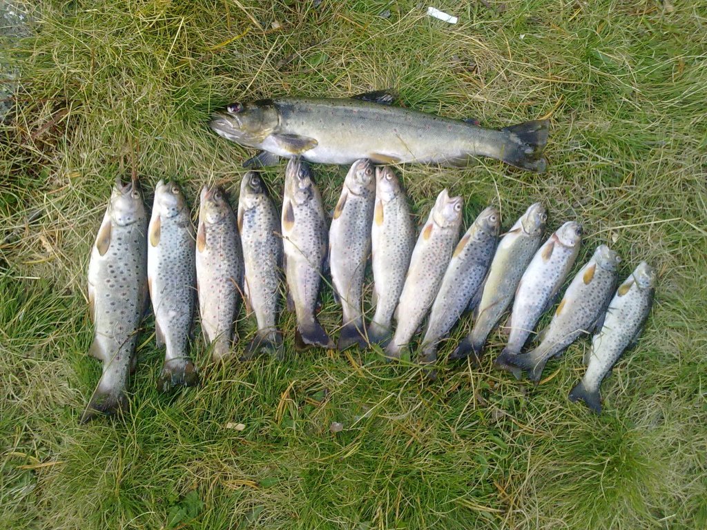 Натиснете снимката за да я уголемите

Име:Ba6 ribar.jpg
Прегледи:1
Размер:310.9 КБ
ID:5418825