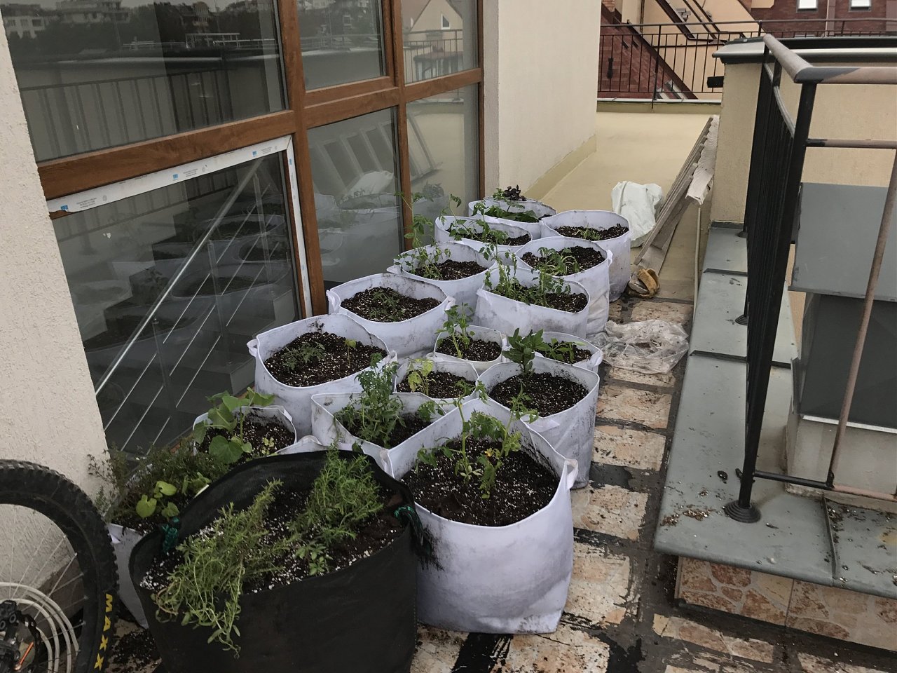 Click image for larger version  Name:	IMG_2402.jpeg Views:	12 Size:	530.3 KB ID:	6553598