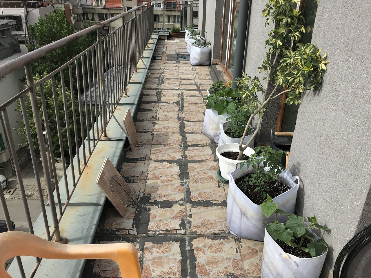 Click image for larger version  Name:	IMG_2425.jpeg Views:	12 Size:	781.9 KB ID:	6553599