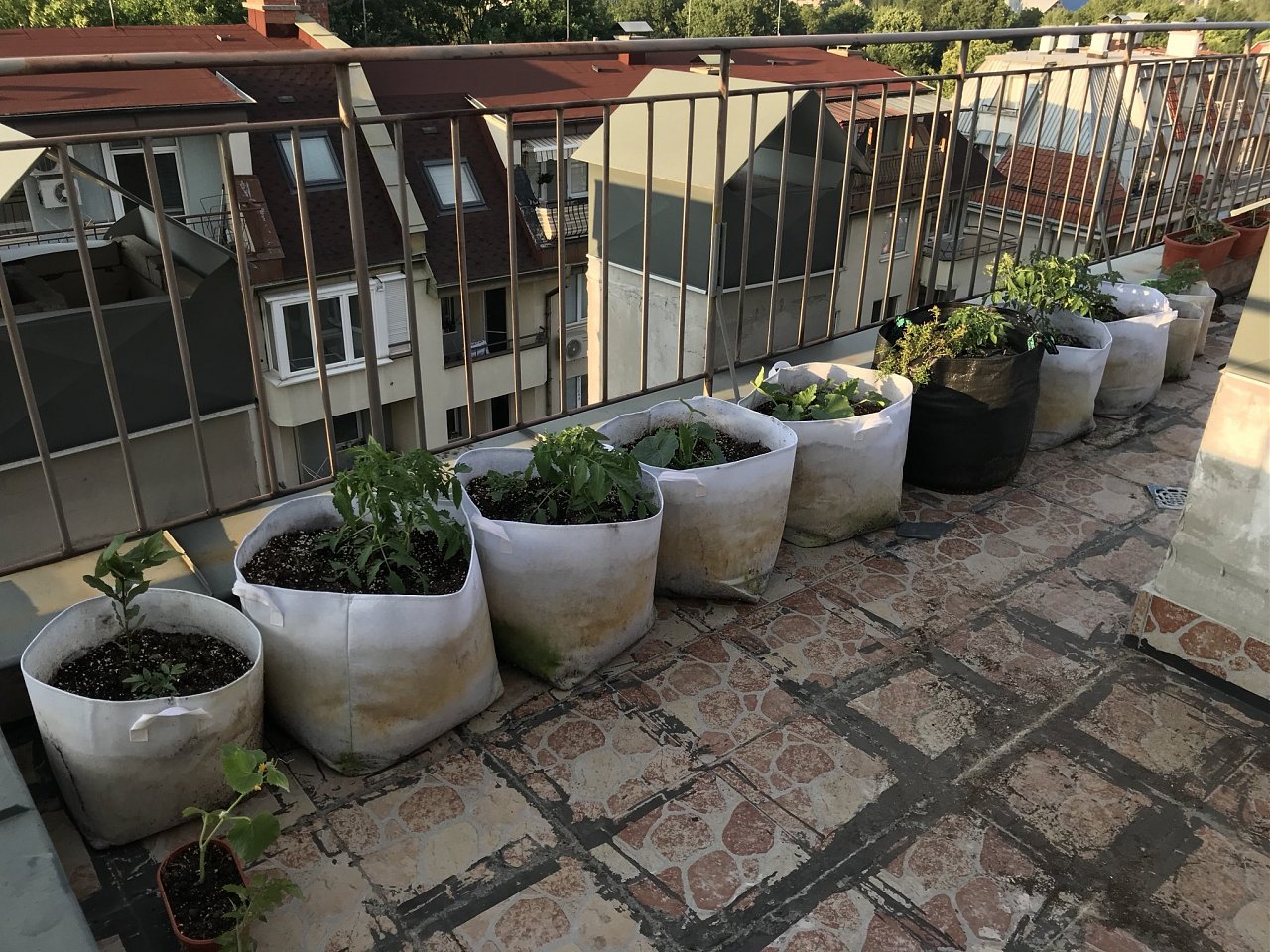 Click image for larger version  Name:	IMG_2465.jpeg Views:	12 Size:	655.9 KB ID:	6553600