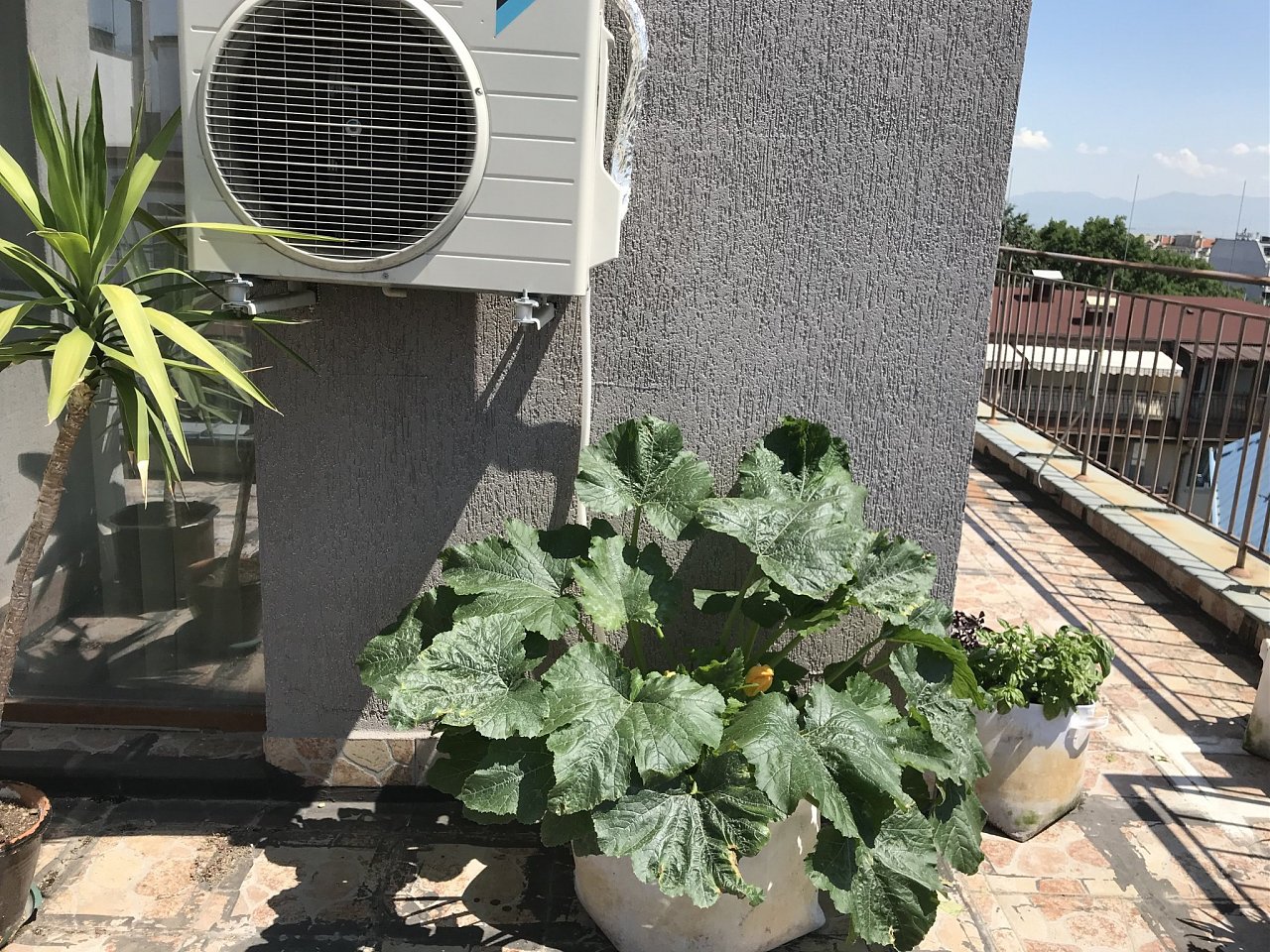 Click image for larger version  Name:	IMG_2557.jpeg Views:	12 Size:	823.7 KB ID:	6553601