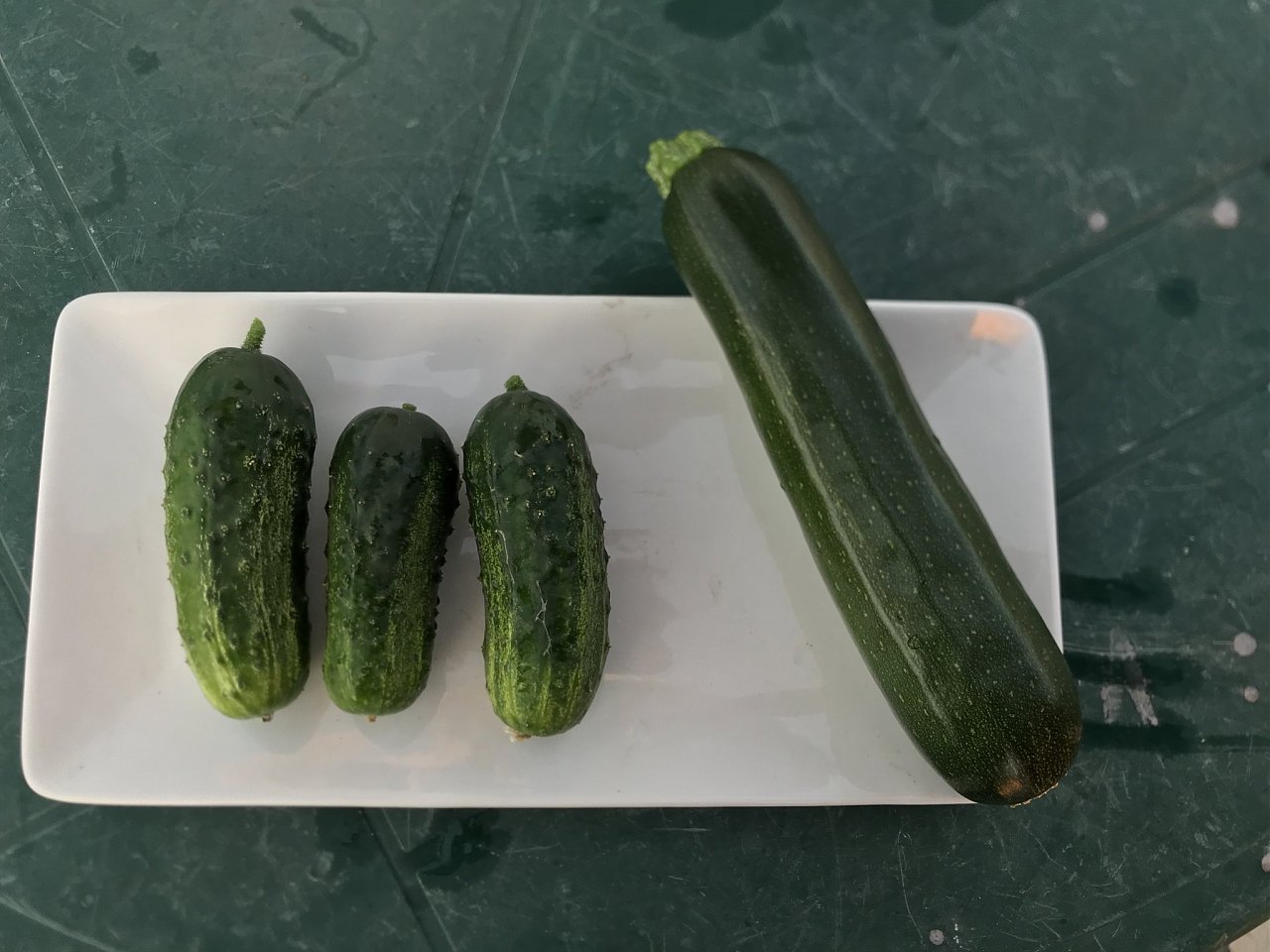 Click image for larger version  Name:	IMG_2688.jpeg Views:	12 Size:	309.1 KB ID:	6553603