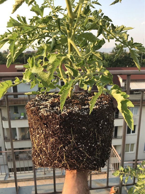 Click image for larger version  Name:	IMG_2818.jpeg Views:	12 Size:	638.2 KB ID:	6553606