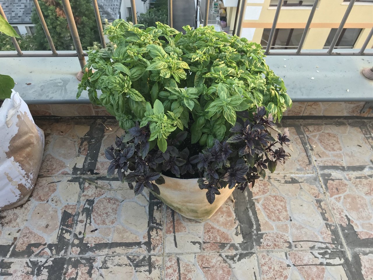 Click image for larger version  Name:	IMG_2839.jpeg Views:	12 Size:	559.8 KB ID:	6553607