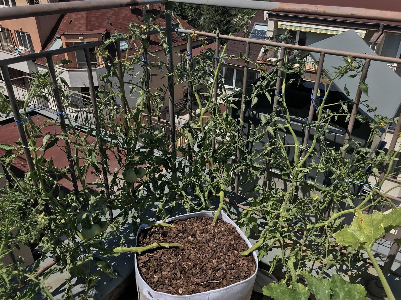 Click image for larger version  Name:	IMG_2940.jpeg Views:	12 Size:	878.4 KB ID:	6553611