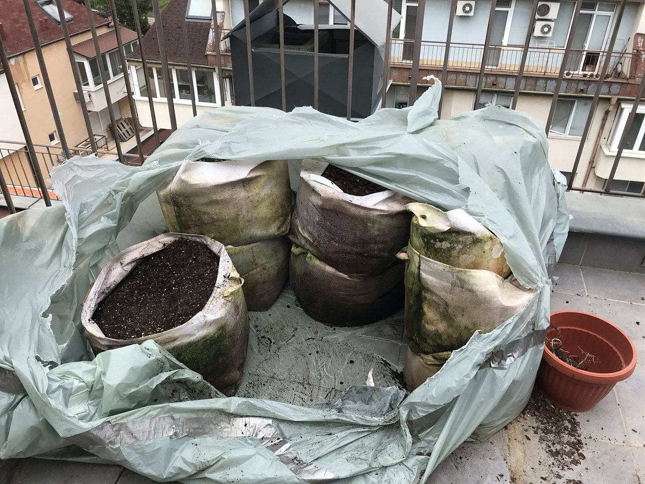 Натиснете снимката за да я уголемите

Име:IMG_6733.jpeg
Прегледи:820
Размер:590.7 КБ
ID:6554452