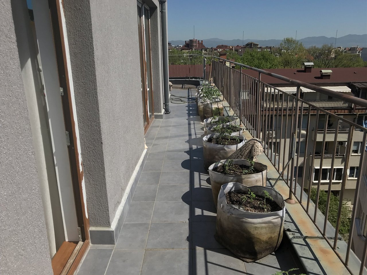 Натиснете снимката за да я уголемите

Име:IMG_6745.jpeg
Прегледи:831
Размер:568.3 КБ
ID:6554454