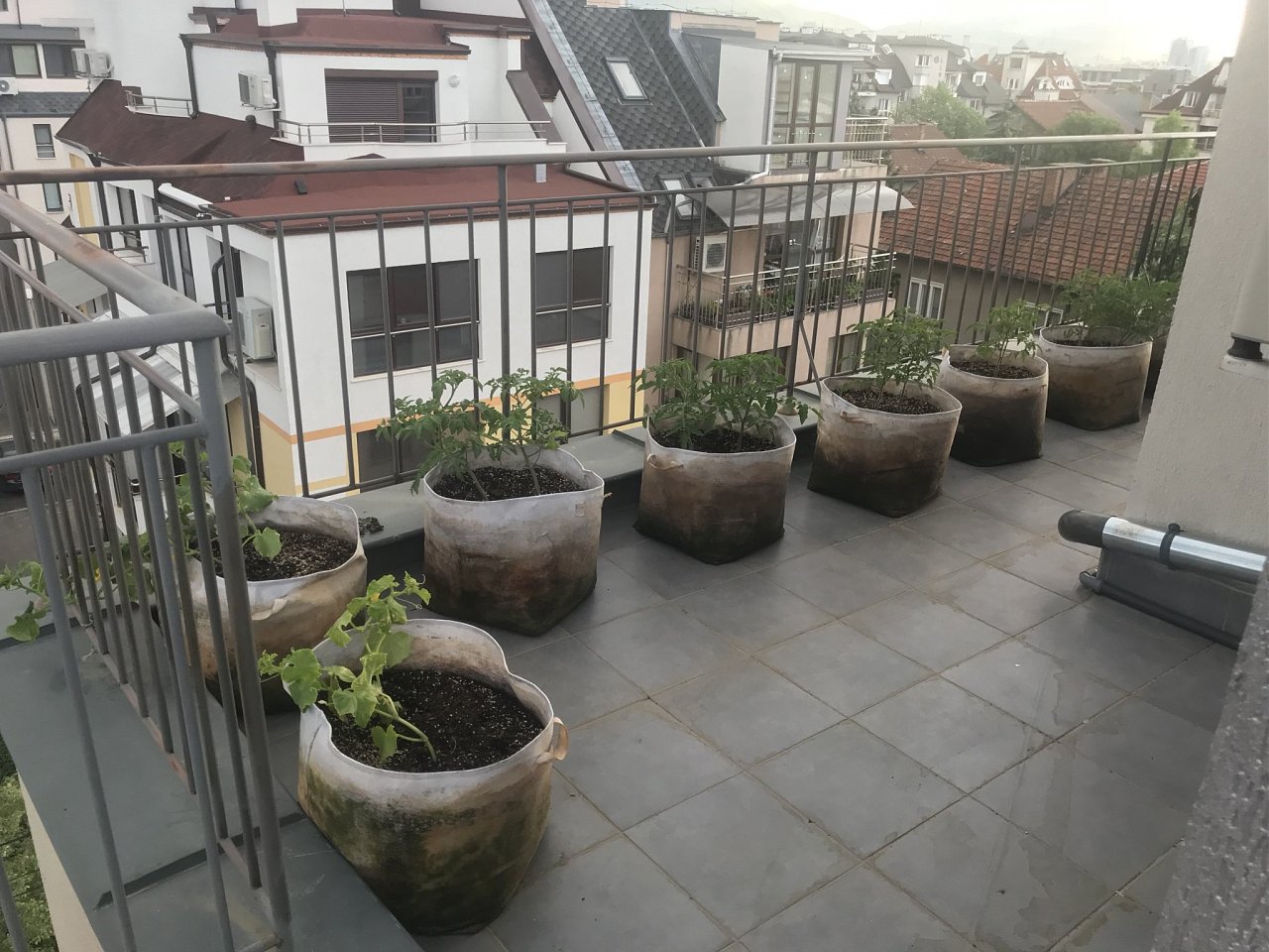 Натиснете снимката за да я уголемите

Име:IMG_6875.jpeg
Прегледи:893
Размер:435.5 КБ
ID:6554455