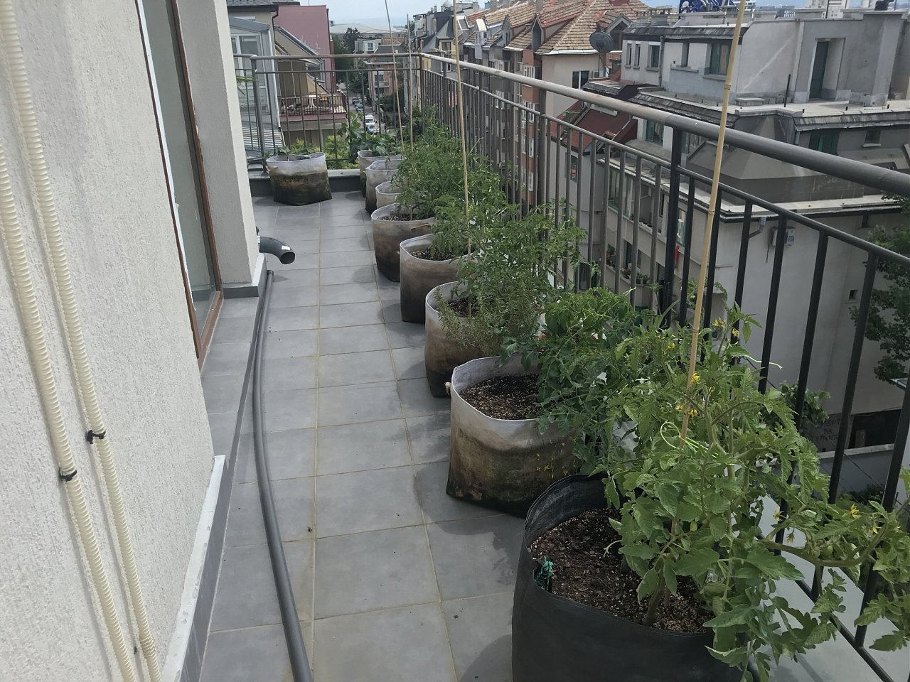 Натиснете снимката за да я уголемите

Име:IMG_6965.jpeg
Прегледи:862
Размер:582.1 КБ
ID:6554456