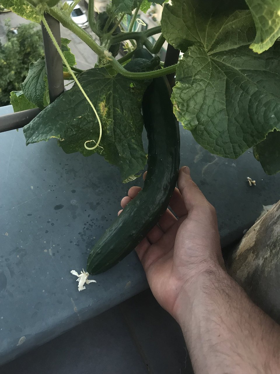 Натиснете снимката за да я уголемите

Име:IMG_6983.jpeg
Прегледи:825
Размер:356.9 КБ
ID:6554457