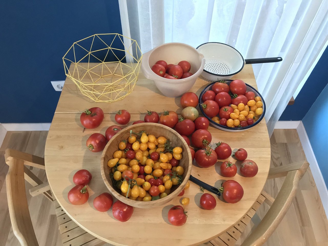 Натиснете снимката за да я уголемите

Име:IMG_7634.jpeg
Прегледи:834
Размер:394.6 КБ
ID:6554464