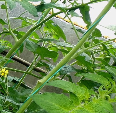 Натиснете снимката за да я уголемите  Име:1.JPG Прегледи:0 Размер:56.0 КБ ID:6554723