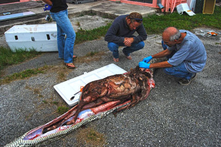 Натиснете снимката за да я уголемите

Име:9.jpg
Прегледи:1
Размер:50.7 КБ
ID:6514315