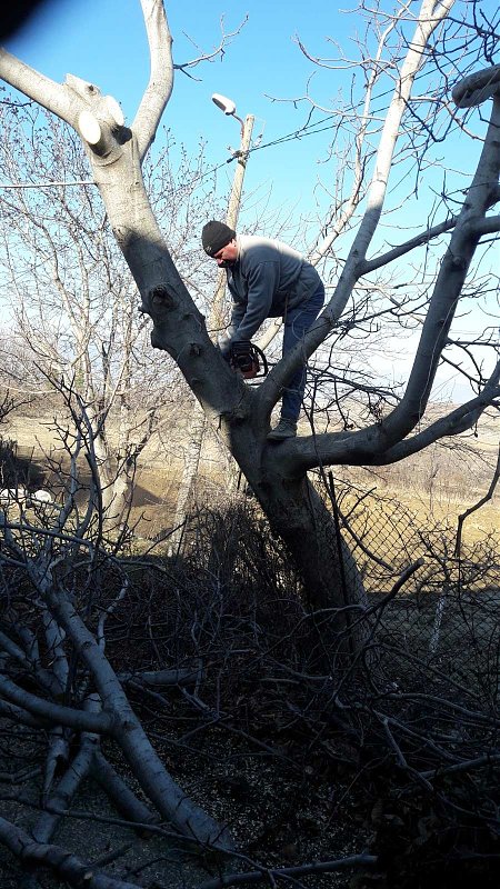 Натиснете снимката за да я уголемите

Име:IMG-7bc9f65d25fa5c4a3f84b0e840ccd21c-V.jpg
Прегледи:129
Размер:339.7 КБ
ID:6561094