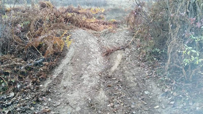 Натиснете снимката за да я уголемите

Име:viber_image_2020-02-19_10-12-58.jpg
Прегледи:839
Размер:341.4 КБ
ID:6562349