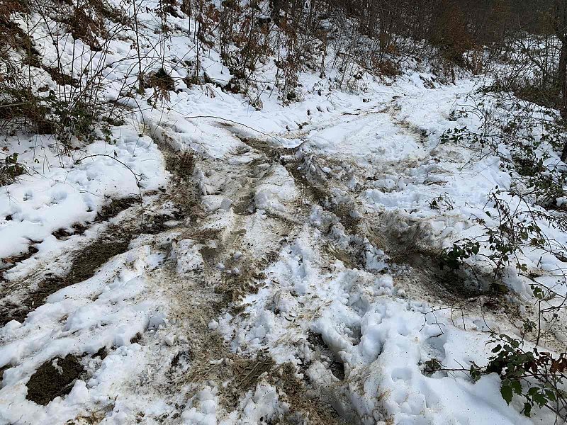 Натиснете снимката за да я уголемите

Име:viber_image_2020-02-19_10-14-15.jpg
Прегледи:839
Размер:470.8 КБ
ID:6562350