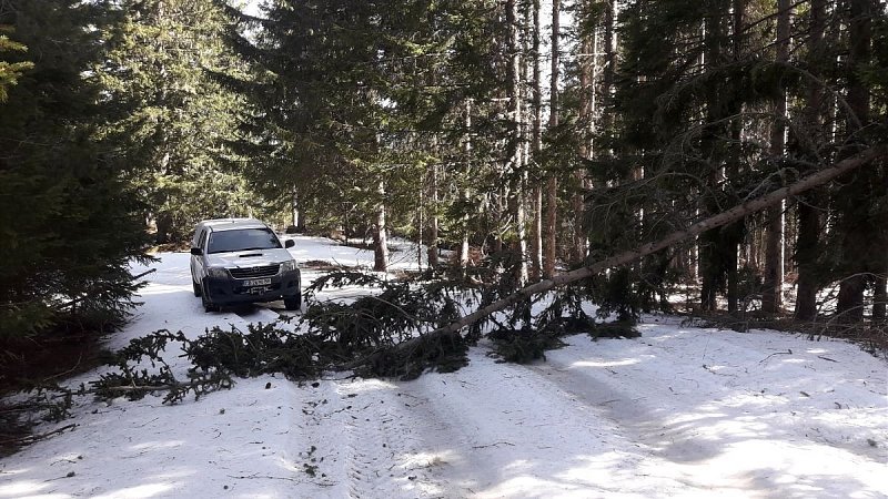 Натиснете снимката за да я уголемите

Име:22.jpg
Прегледи:113
Размер:240.8 КБ
ID:6564804
