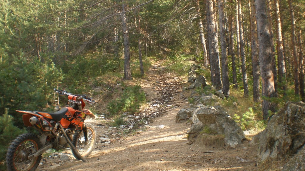 Натиснете снимката за да я уголемите

Име:P8180753.jpg
Прегледи:2
Размер:177.4 КБ
ID:5400670