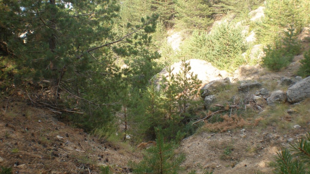 Натиснете снимката за да я уголемите

Име:P8180754.jpg
Прегледи:2
Размер:169.1 КБ
ID:5400671