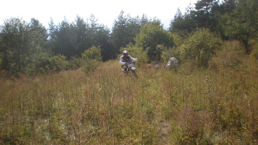 Натиснете снимката за да я уголемите

Име:P8180761.jpg
Прегледи:2
Размер:159.0 КБ
ID:5400678