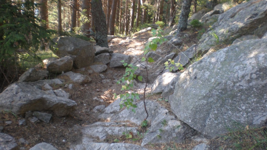 Натиснете снимката за да я уголемите

Име:P8180764.jpg
Прегледи:2
Размер:138.5 КБ
ID:5400681