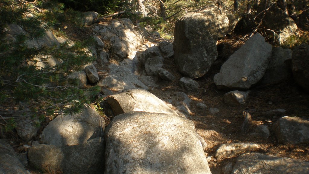 Натиснете снимката за да я уголемите

Име:P8180765.jpg
Прегледи:2
Размер:148.7 КБ
ID:5400682