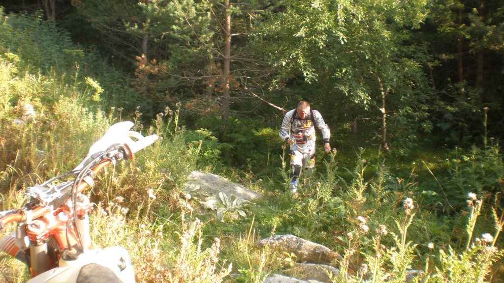 Натиснете снимката за да я уголемите

Име:P8180766.jpg
Прегледи:2
Размер:182.7 КБ
ID:5400683