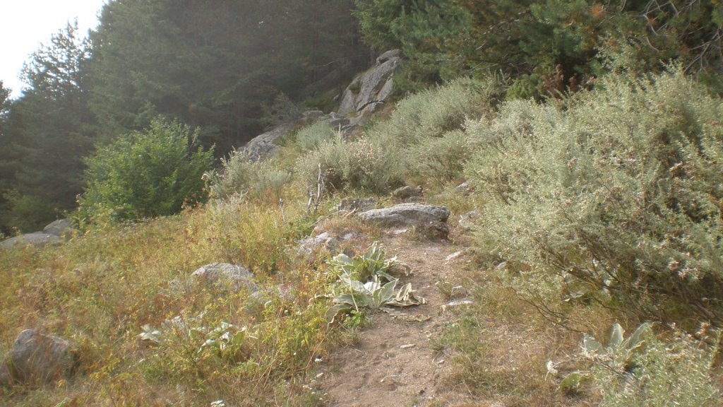 Натиснете снимката за да я уголемите

Име:P8180769.jpg
Прегледи:2
Размер:171.4 КБ
ID:5400687