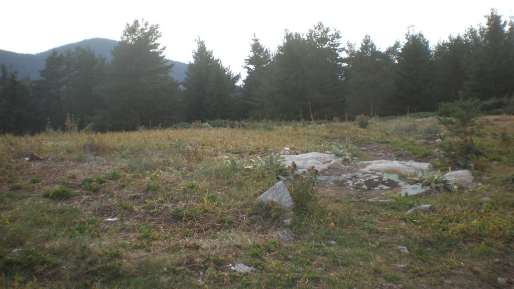 Натиснете снимката за да я уголемите

Име:P8180773.jpg
Прегледи:2
Размер:112.2 КБ
ID:5400691