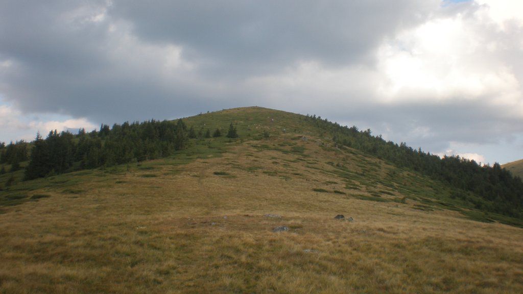 Натиснете снимката за да я уголемите

Име:P8180780.jpg
Прегледи:2
Размер:70.5 КБ
ID:5400698