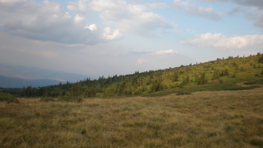 Натиснете снимката за да я уголемите

Име:P8180784.jpg
Прегледи:2
Размер:70.9 КБ
ID:5400701