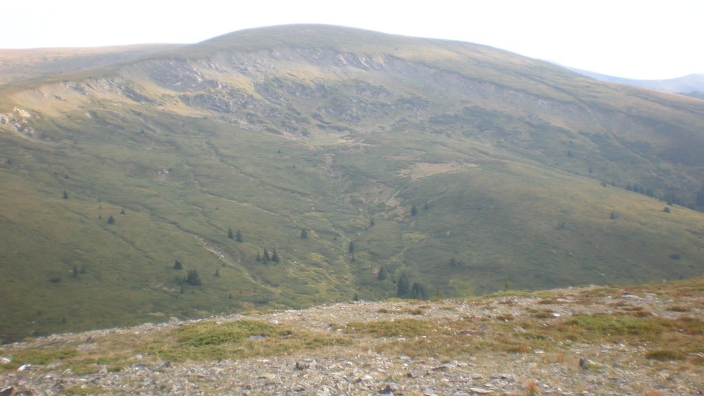 Натиснете снимката за да я уголемите

Име:P8180786.jpg
Прегледи:2
Размер:93.0 КБ
ID:5400703