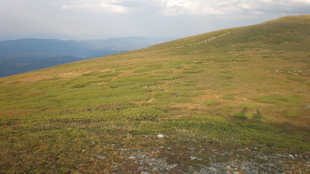 Натиснете снимката за да я уголемите

Име:P8180787.jpg
Прегледи:2
Размер:108.7 КБ
ID:5400704