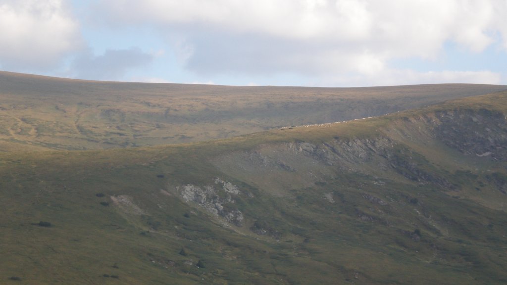 Натиснете снимката за да я уголемите

Име:P8180792.jpg
Прегледи:2
Размер:61.8 КБ
ID:5400709